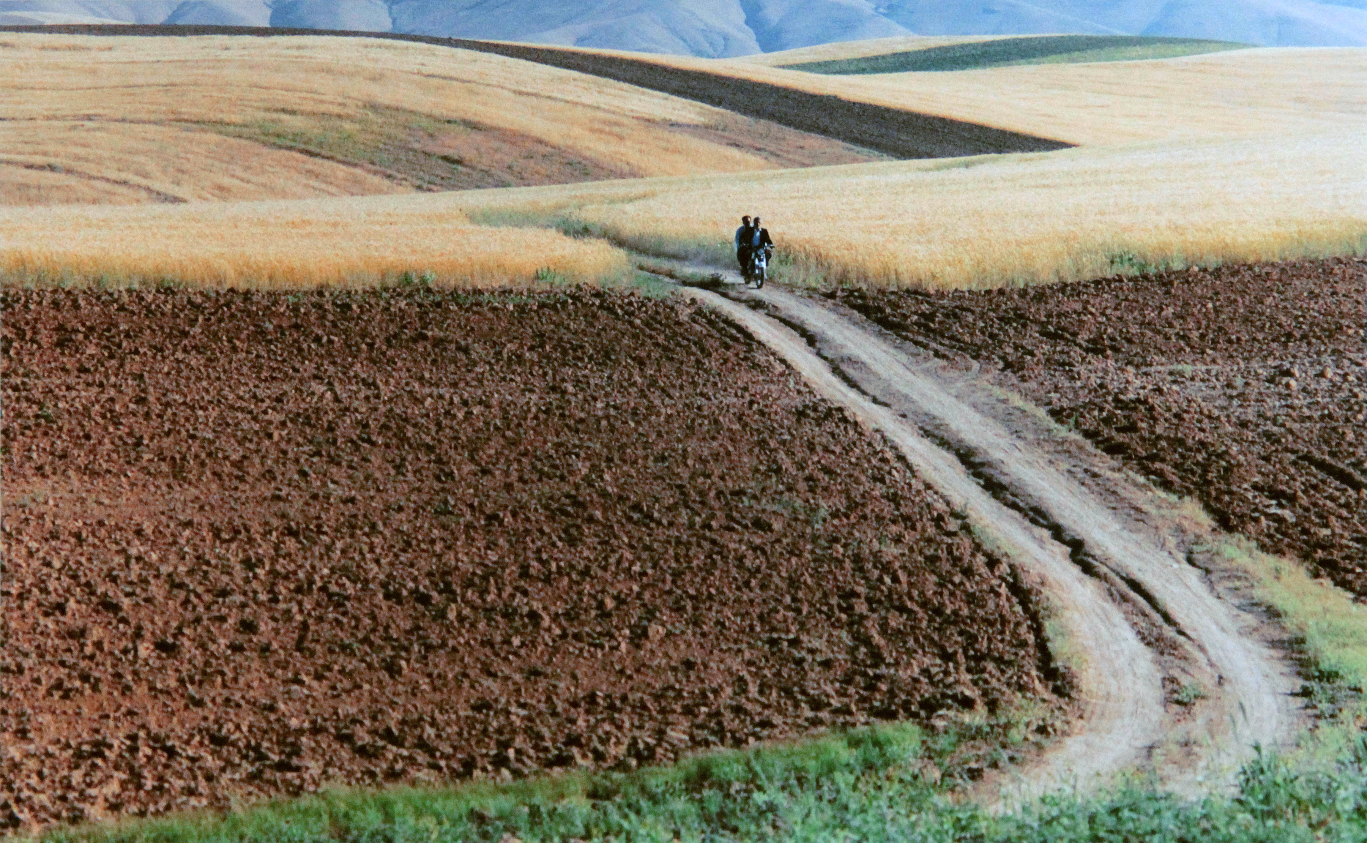 Abbas Kiarostami, the Photographer — Blind Magazine